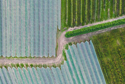 Aerial view of orchard with apple trees during sunset. the fields are covered with a hail net. 