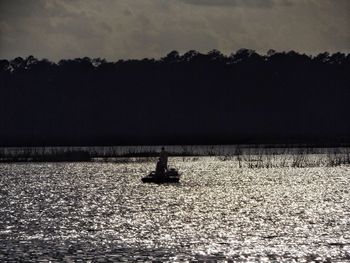 Silhouette birds on wet shore against sky