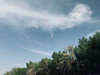 Low angle view of trees against sky