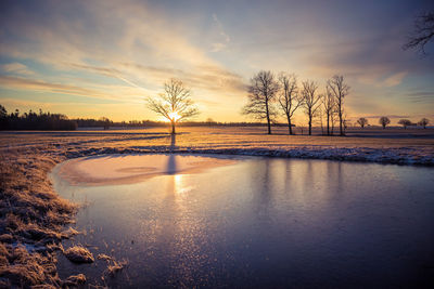 A beautiful frozen pond in the rural scene during the morning golden hour. 