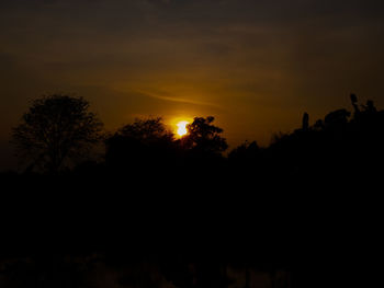 Silhouette trees against sky during sunset