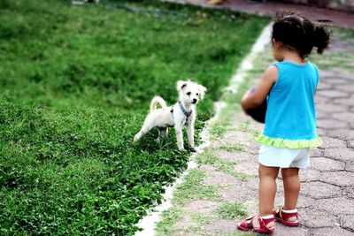 Full length of cute boy playing with dog