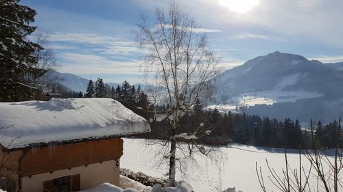 Snow covered trees by mountains against sky