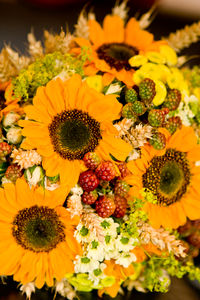 Close-up of sunflowers on flowering plant