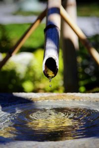 Japanese bamboo water fountain