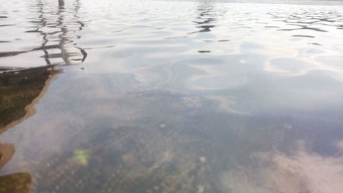 High angle view of rippled water