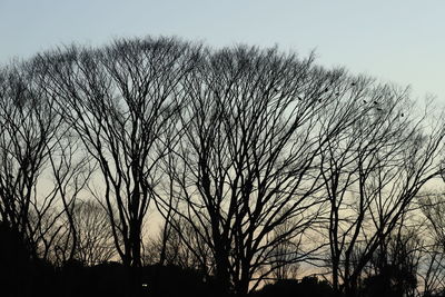 Silhouette bare trees against sky during sunset