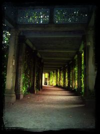 Corridor of building