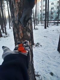 Man on tree trunk during winter