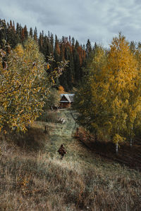 Trees on field during autumn