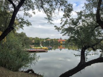 Reflection of trees in water