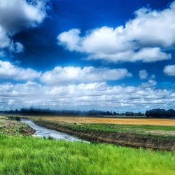 Scenic view of grassy field against cloudy sky