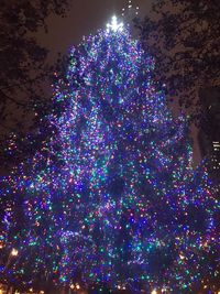 Illuminated christmas tree against sky at night