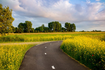 Scenic view of grassy field against cloudy sky