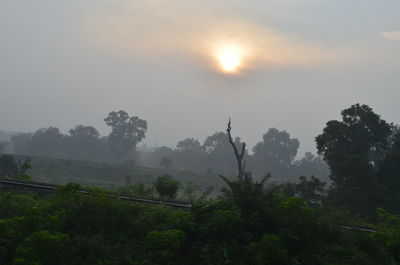 Scenic view of trees against sky during sunset