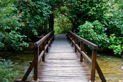 View of footbridge in forest