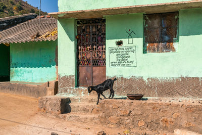 View of a building