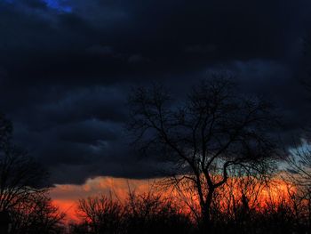 Silhouette bare trees against sky during sunset