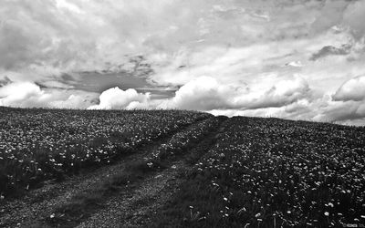 View of field against cloudy sky