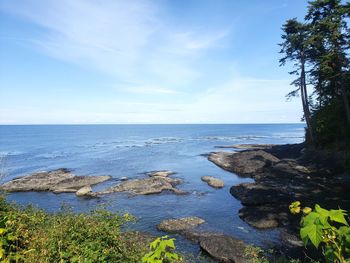 Bird's eye view of rocky beach and ocean.