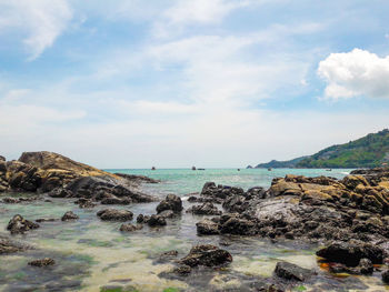 Scenic view of sea and sky