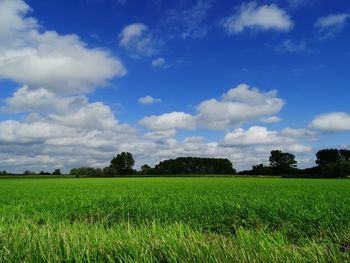 Scenic view of field against cloudy sky