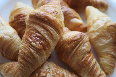 Close-up of bread in store