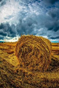 Hay bales on field against sky