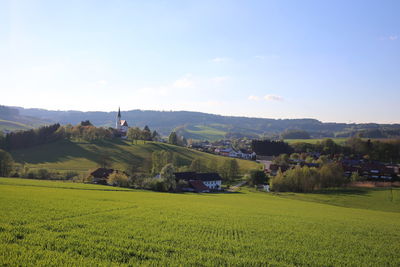 Scenic view of agricultural landscape against clear sky