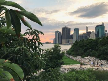 Trees in city against cloudy sky