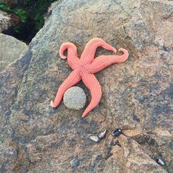 High angle view of starfish on sand