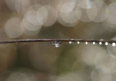 Defocused image of illuminated lights