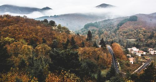 High angle view of trees on mountain during autumn