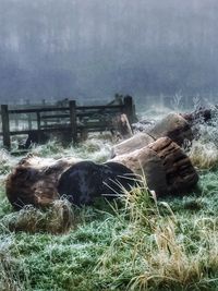 Water splashing in grass