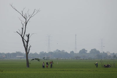 People on field against sky