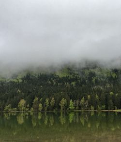 Scenic view of lake in forest against sky