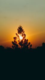 Silhouette tree against orange sky