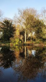 Trees by lake in forest against sky