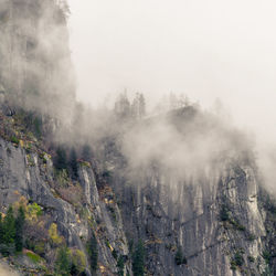 Panoramic shot of trees on landscape against sky