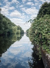 Reflection of trees in lake against sky