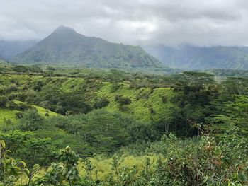 Scenic view of landscape against sky