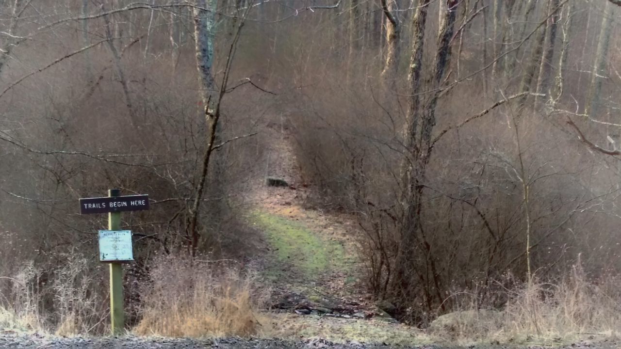 Trail path woods winter cold temperature