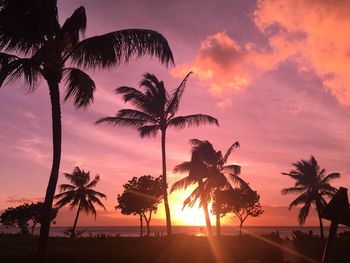 Silhouette palm trees at beach during sunset