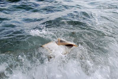 High angle view of book in sea