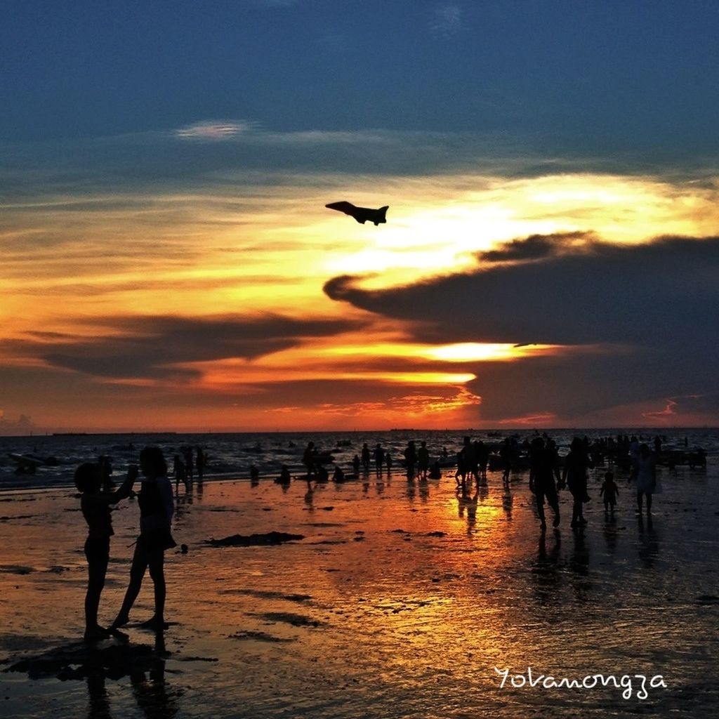 sunset, sea, water, beach, horizon over water, sky, silhouette, shore, leisure activity, lifestyles, bird, scenics, men, beauty in nature, cloud - sky, vacations, orange color, animal themes, nature