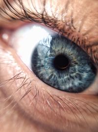 Extreme close up of human eye