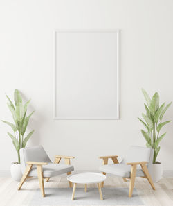 Potted plant on table against white wall