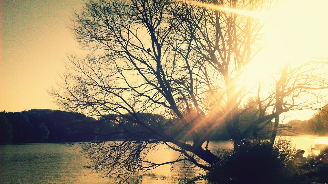 sun, sunset, water, silhouette, tranquil scene, tree, bare tree, scenics, tranquility, beauty in nature, reflection, sunlight, lake, sunbeam, nature, sky, branch, river, idyllic, lens flare