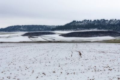 Scenic view of snow covered landscape