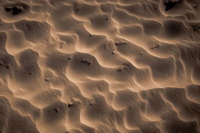 High angle view of footprints on sand